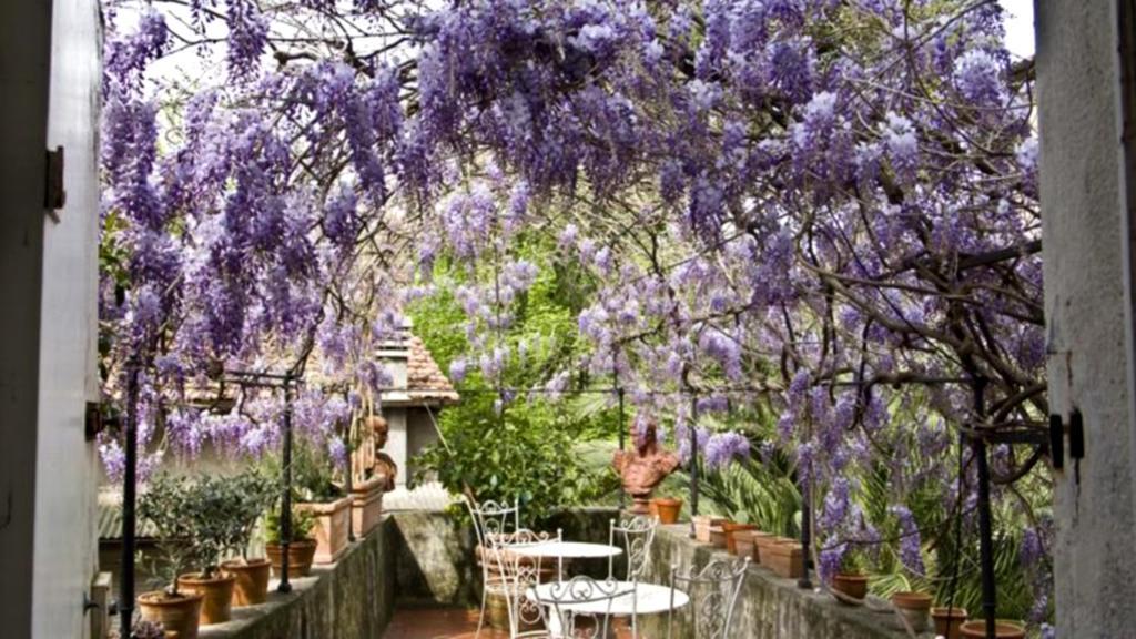 Locanda Sant' Agostino Lucca Exteriér fotografie